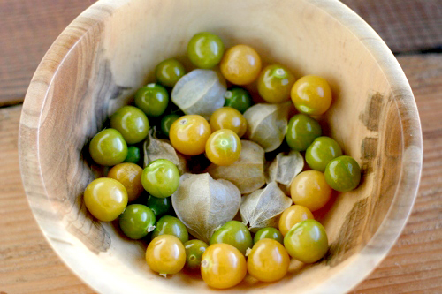 Baby Tomatillos