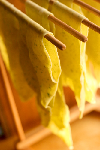 Hanging Pasta