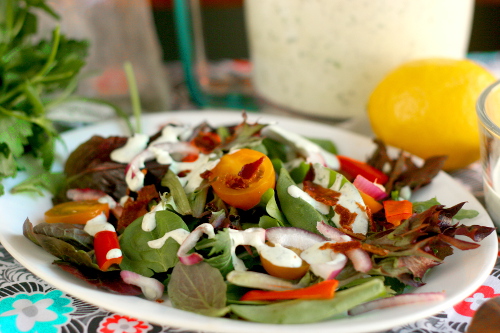 Homemade (No-Mayo) Ranch Dressing