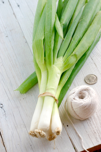 scallions