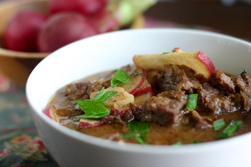 Spicy Asian Beef and Radish Stew