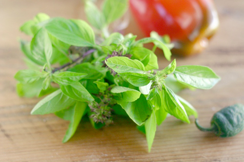 Thai Basil